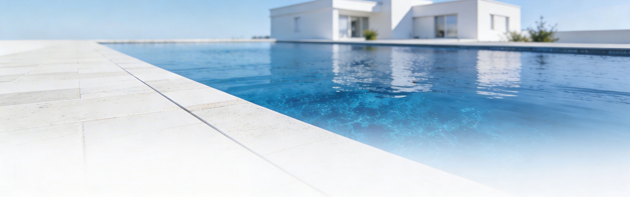 Pool-Kompetenz vom Profi